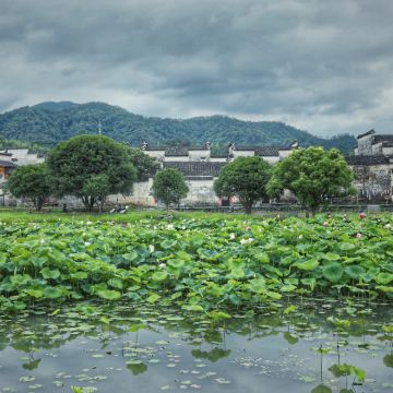 黄山风景区+西递+宏村景区+婺源篁岭景区5日4晚跟团游