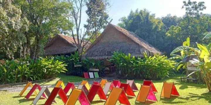 大象粑粑紙公園