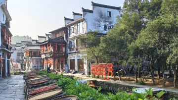李坑景區