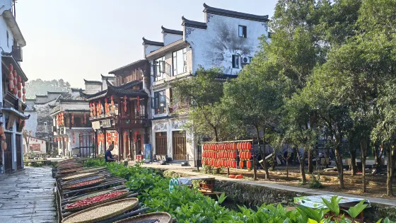 李坑景區