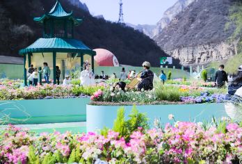 云台山风景名胜区一日游【（含门票，三坏内上门接）【云台山一日游（含门票，三坏内上门接）全程纯玩、不进购物店，天天发团】