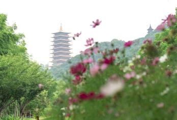 总统府+牛首山+大报恩寺+老门东+夫子庙一日活动【实惠大团】【[邂逅金陵浪漫]一座牛首山，半部金陵史，身临其境，感受浮光跃金，静影沉璧！】