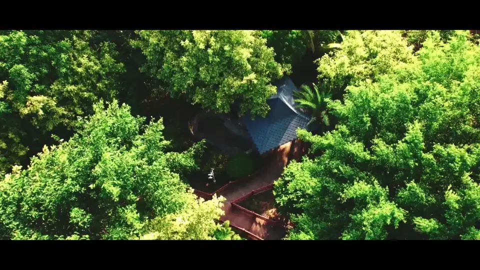 top-video