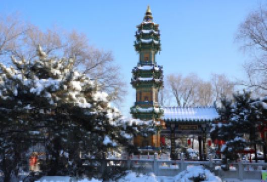 沈阳植物园景点图片