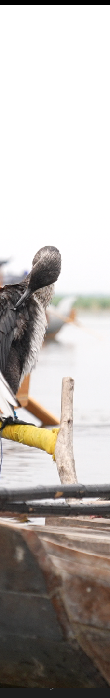 白洋淀风景区-雄县