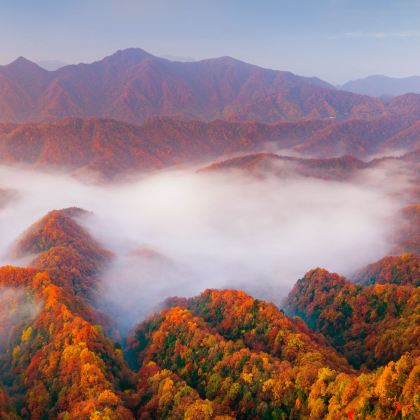 巴中+光雾山+米仓山国家森林公园+十八月潭景区5日4晚私家团