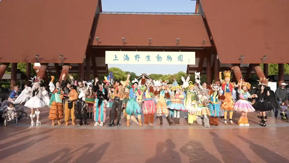 top-video