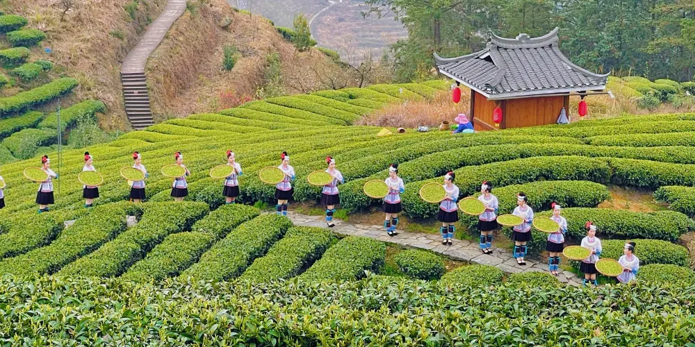 永安旅遊