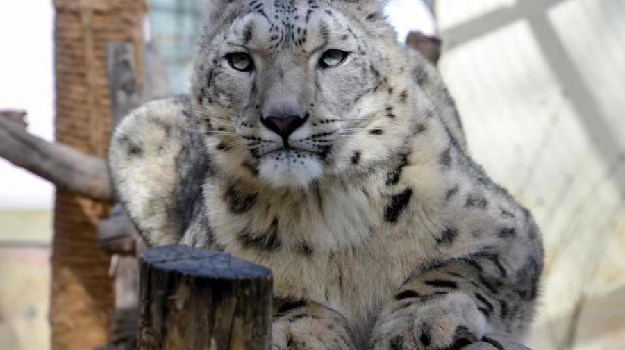 西宁野生动物园