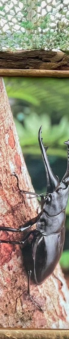 兰阳动植物王国-宜兰