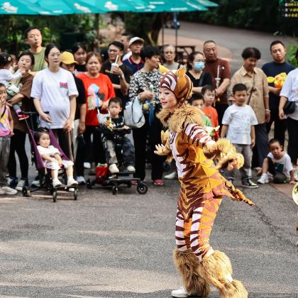惠州+深圳+珠海+佛山+广州+长隆6日5晚拼小团
