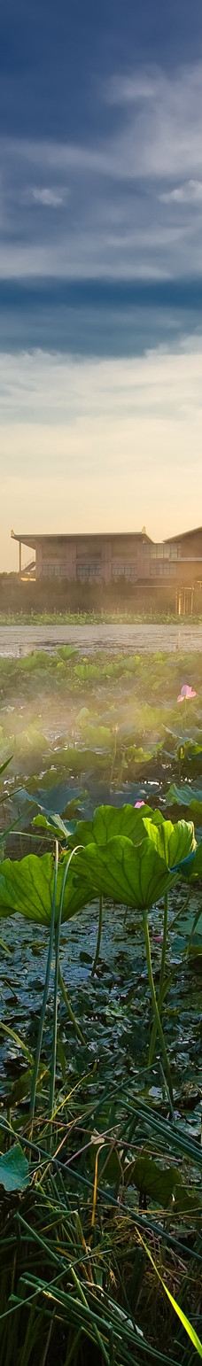 溱湖国家湿地公园-泰州