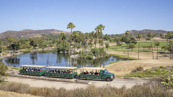 聖地亞哥野生動物園