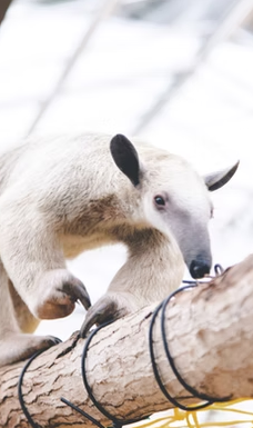 兰阳动植物王国-宜兰
