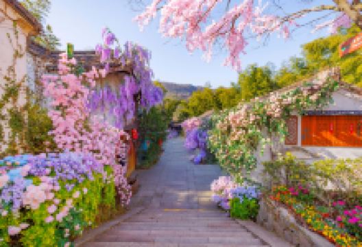 天目湖南山竹海景区景点图片