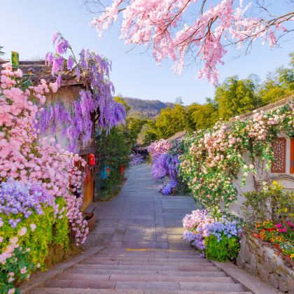 溧阳2日1晚自由行