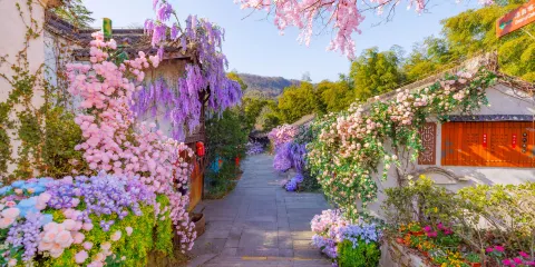 天目湖南山竹海景區