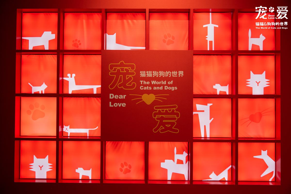 深圳博物馆《宠·爱—猫猫狗狗的世界》展览