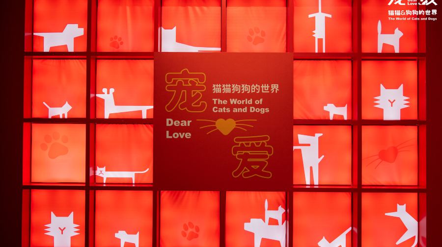 深圳博物馆《宠·爱—猫猫狗狗的世界》展览
