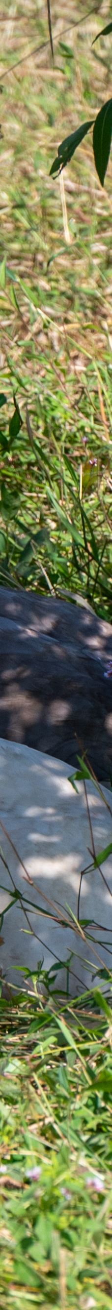 桐城动物园-桐城