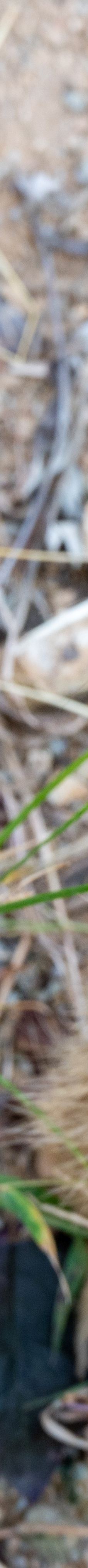 桐城动物园-桐城