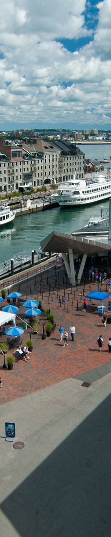 新英格兰水族馆-波士顿