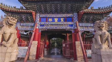 Confucius Forest