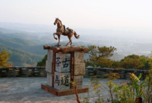 普洱茶马古道遗址公园景点图片