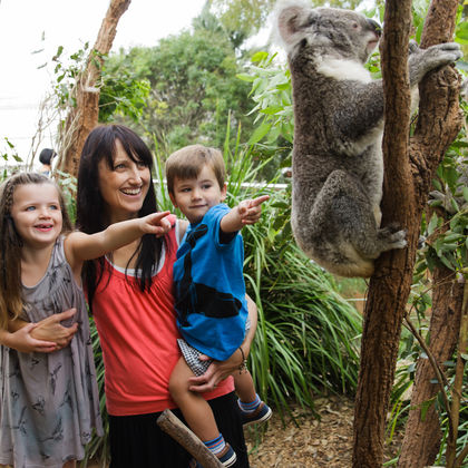 悉尼动物园一日游