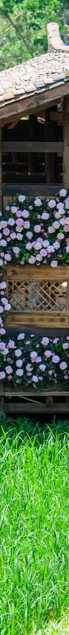 峒那屿湾景区-大新