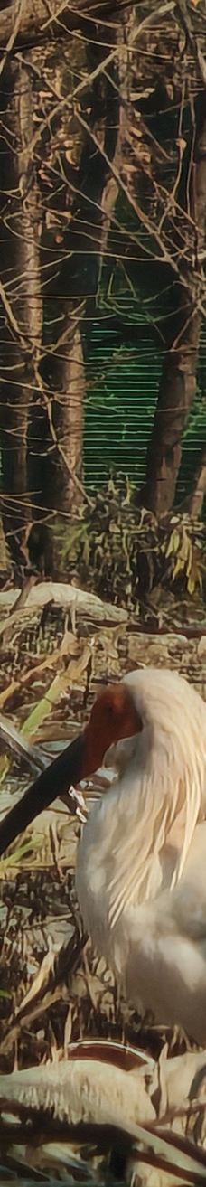 秦岭四宝科学公园-周至