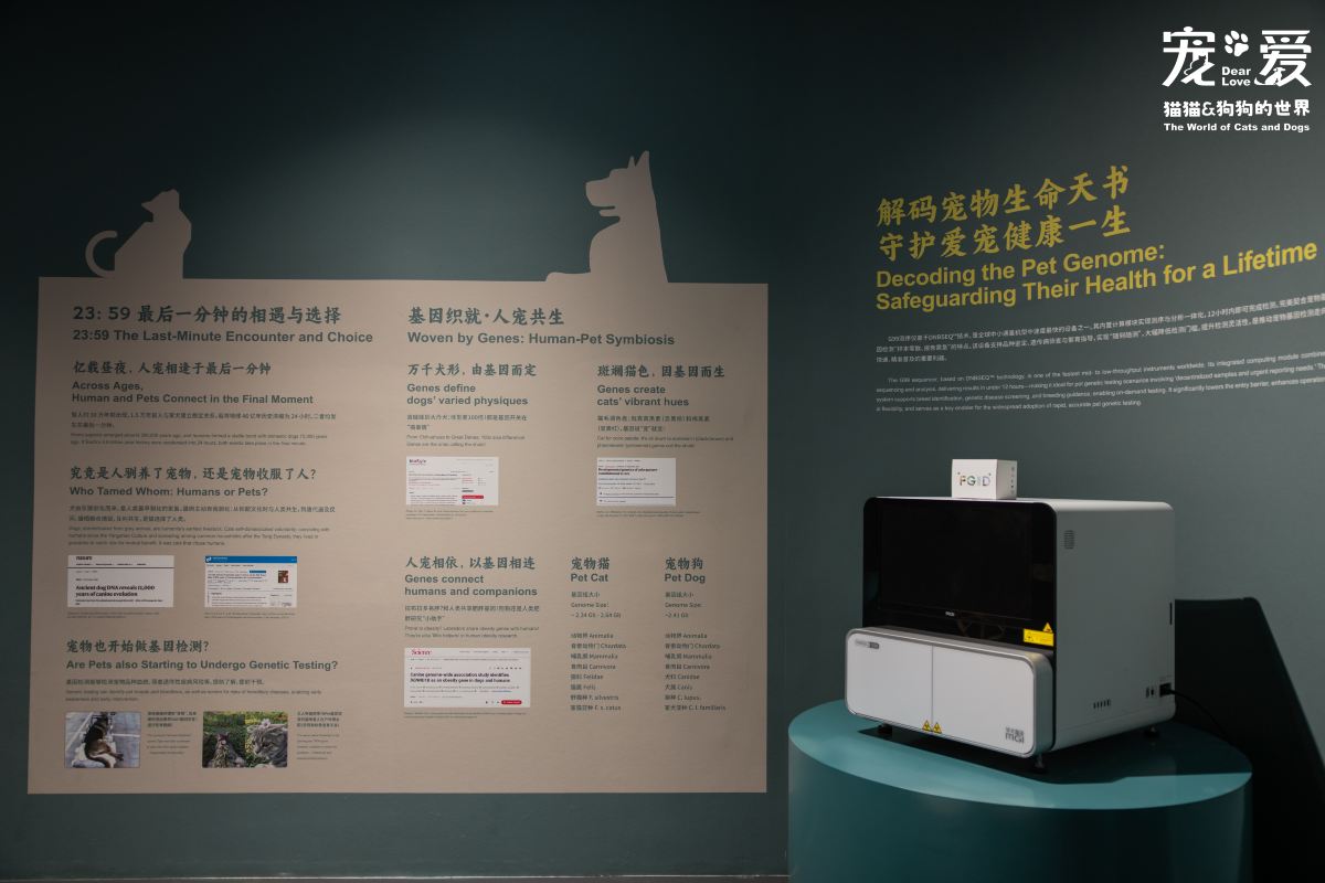 Gallery 1