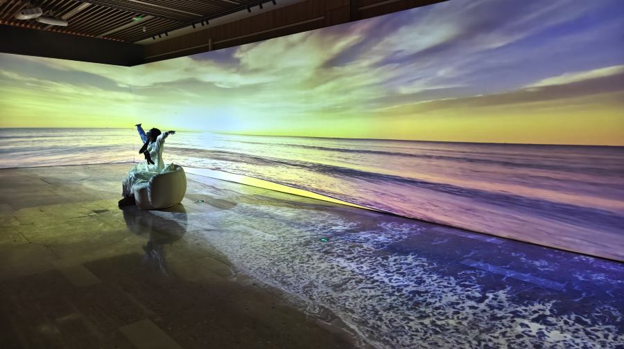 【西安】《潮幻星空·梵高巨幕光影大展》展览