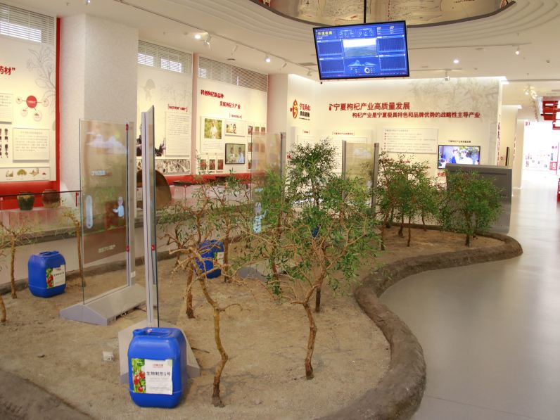 Gallery 3