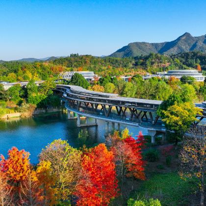 安吉2日1晚私家团