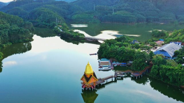 西双版纳热带雨林国家公园望天树景区