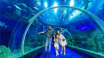 Weihai Shenyou Ocean World