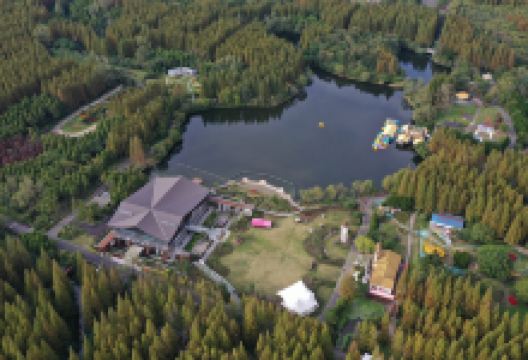 东平国家森林公园景点图片