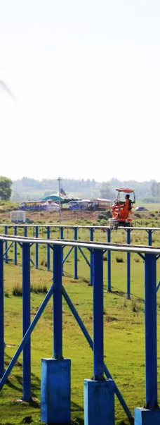 苏泊罕大草原旅游景区-伊金霍洛旗