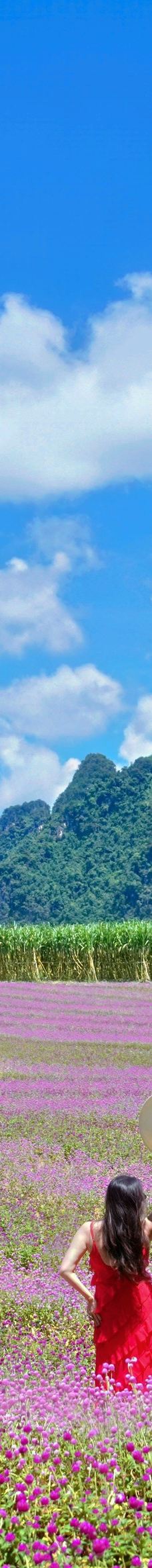 峒那屿湾景区-大新