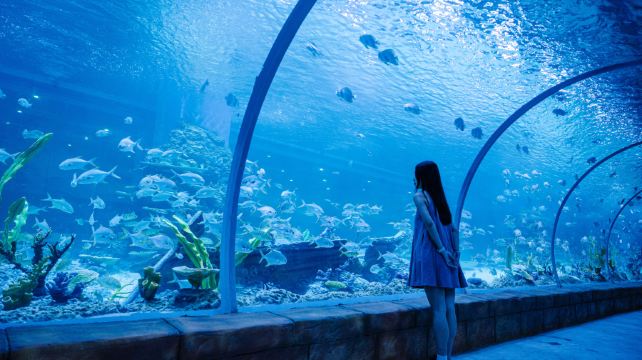 南海海洋亲子乐园