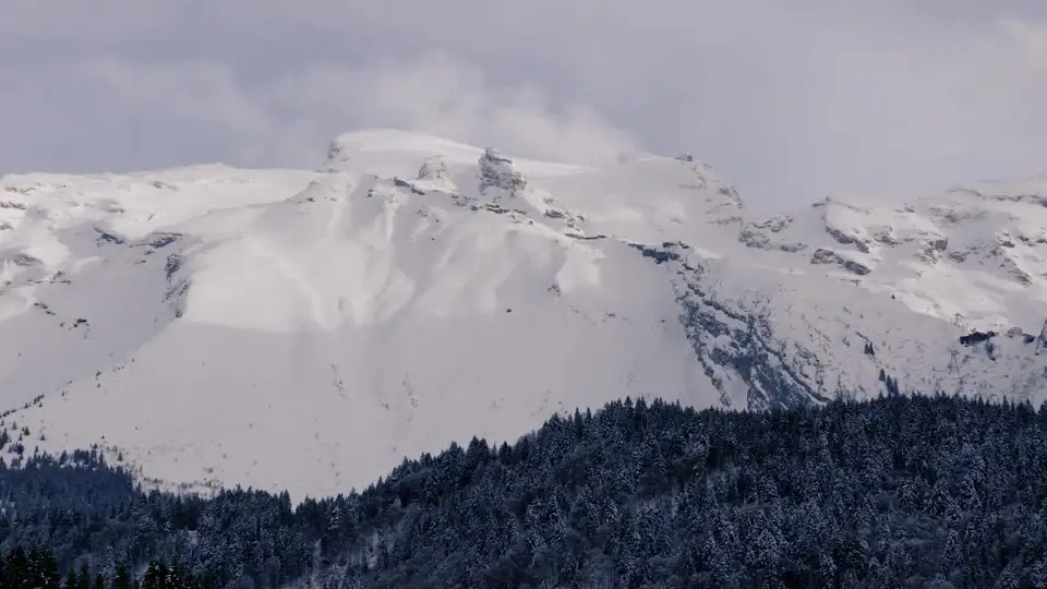 top-video
