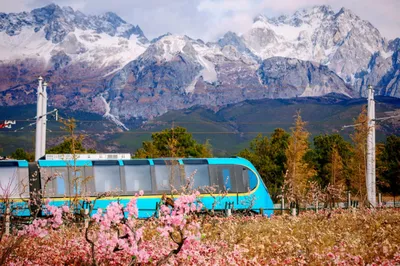 丽江雪山观光火车