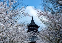 travel picture