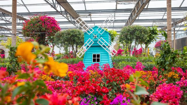 南宫五洲植物乐园