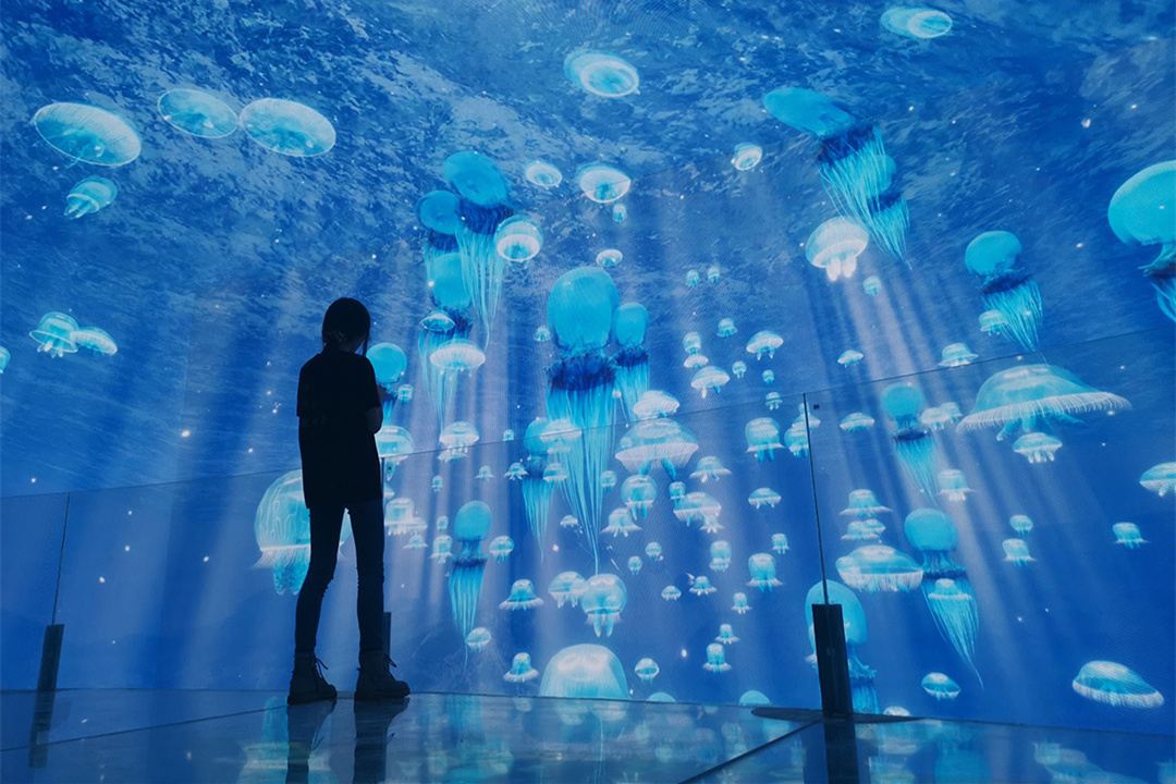 Gallery 3