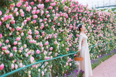 漫花庄园