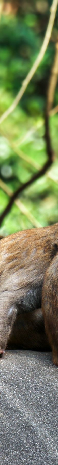 牛姆林生态旅游区-永春