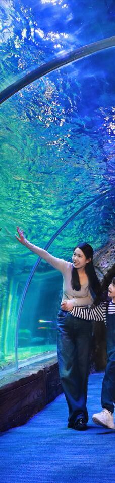 郑州海洋馆-郑州