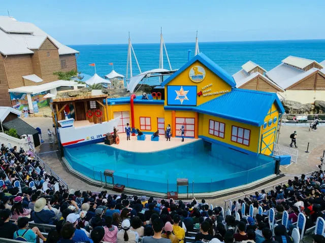 遠雄海洋公園海洋劇場海豚表演場地